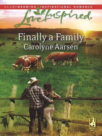 Carolyne  Aarsen. Finally a Family