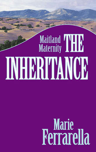 Marie  Ferrarella. The Inheritance