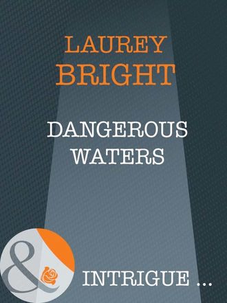 Laurey  Bright. Dangerous Waters