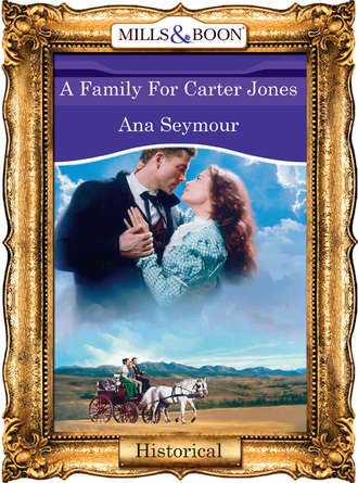 Ana  Seymour. A Family For Carter Jones