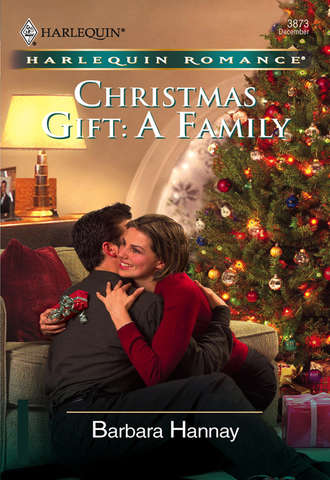 Barbara Hannay. Christmas Gift: A Family