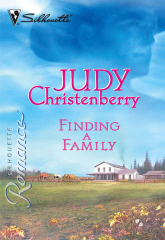 Judy  Christenberry. Finding A Family