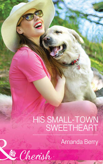 Amanda  Berry. His Small-Town Sweetheart