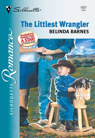 Belinda  Barnes. The Littlest Wrangler