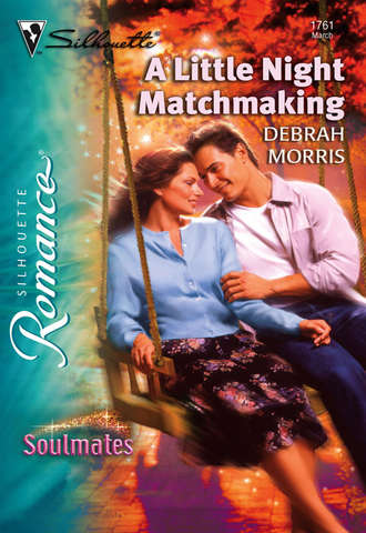 Debrah  Morris. A Little Night Matchmaking