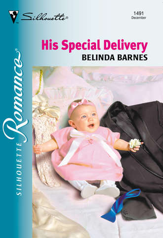 Belinda  Barnes. His Special Delivery