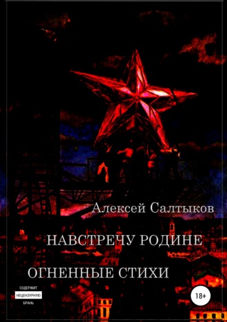 Алексей Васильевич Салтыков. Навстречу Родине. Огненные стихи