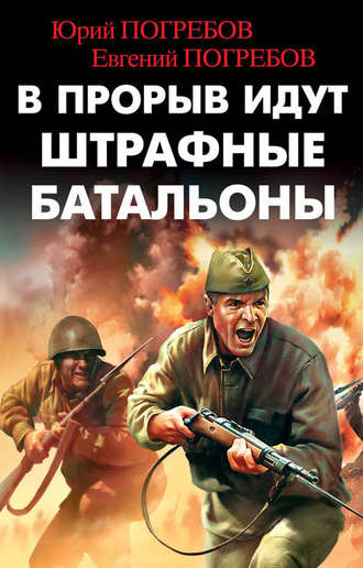 Обложка книги «В прорыв идут штрафные батальоны»
