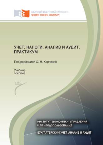 Наталья Боненовна Клишевич. Учет, налоги, анализ и аудит. Практикум