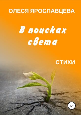 Обложка книги «В поисках света»
