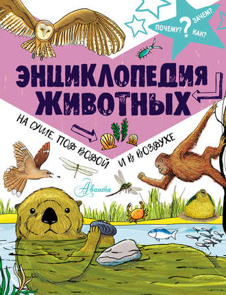 Обложка книги «Энциклопедия животных: на суше, под водой и в воздухе»