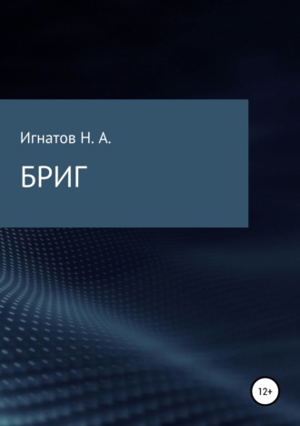 Обложка книги «БРИГ»