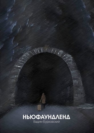 Обложка книги «Ньюфаундленд»