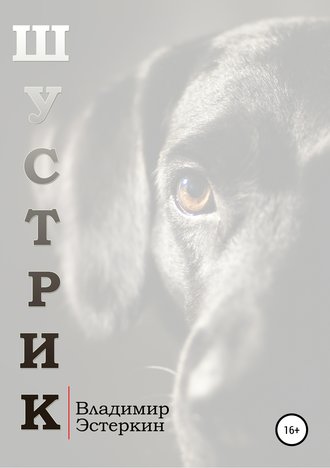 Обложка книги «Шустрик»