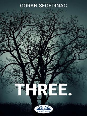 Обложка книги «Three.»
