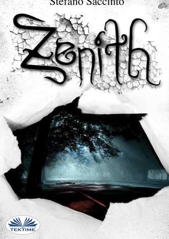 Обложка книги «Zenith»