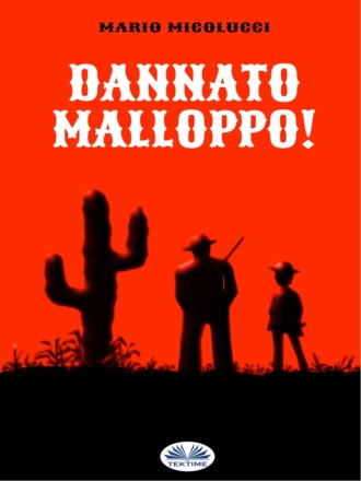 Обложка книги «Dannato Malloppo!»