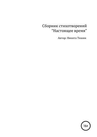 Никита Сергеевич Тишин. Настоящее время