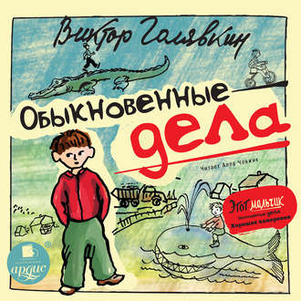 Обложка книги «Обыкновенные дела»