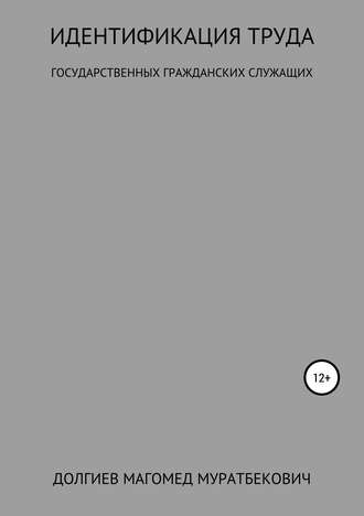 Обложка книги «Идентификация труда государственных гражданских служащих»