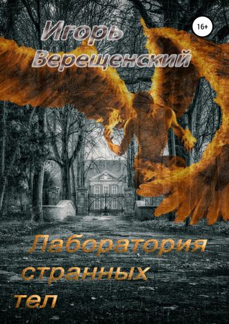Обложка книги «Лаборатория странных тел»