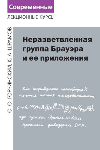 Обложка книги «Неразветвленная группа Брауэра и ее приложения»