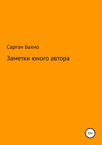 Обложка книги «Заметки юного автора»