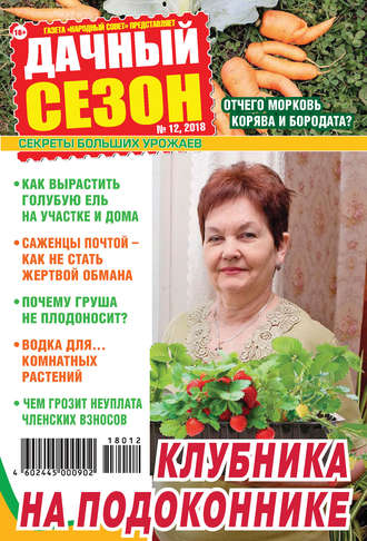 Обложка книги «Дачный сезон №12/2018»