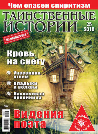 Обложка книги «Таинственные истории №25/2018»