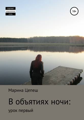 Обложка книги «В объятиях ночи: урок первый»
