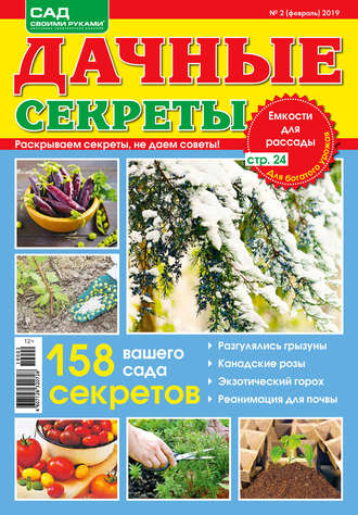 Обложка книги «Сад своими руками. Дачные секреты №02/2019»