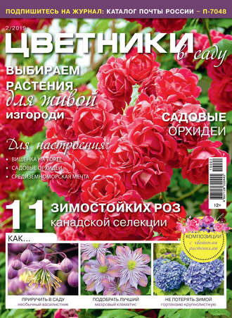 Обложка книги «Цветники в саду №02/2019»