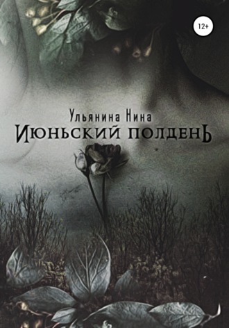 Обложка книги «Июньский полдень»