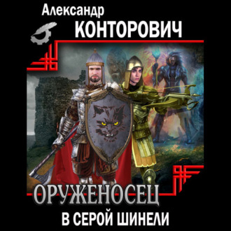 Обложка книги «Оруженосец в серой шинели»