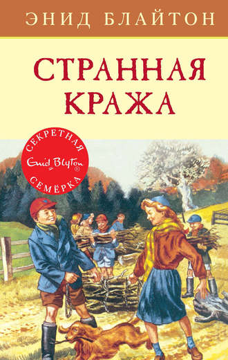 Энид Блайтон. Странная кража