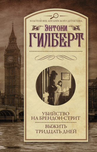 Обложка книги «Убийство на Брендон-стрит. Выжить тридцать дней»