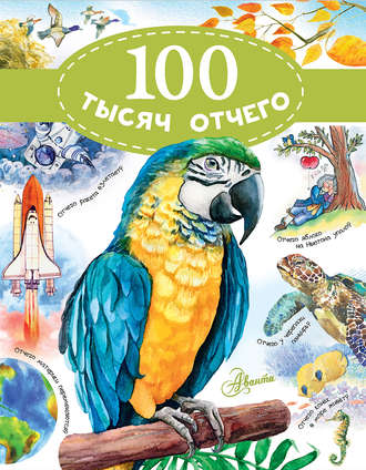 Обложка книги «100 тысяч отчего»