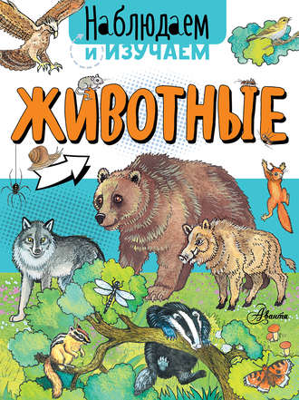 Обложка книги «Животные»