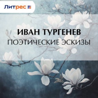 Обложка книги «Поэтические эскизы»