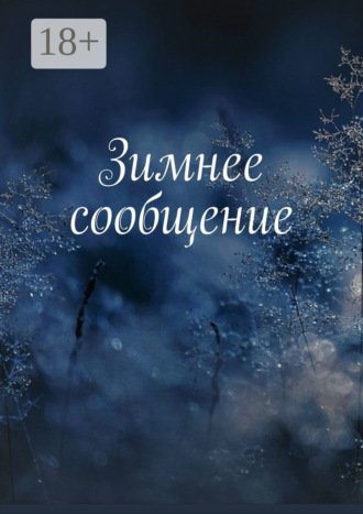 Обложка книги «Зимнее сообщение»