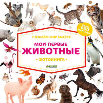 Обложка книги «Мои первые животные»