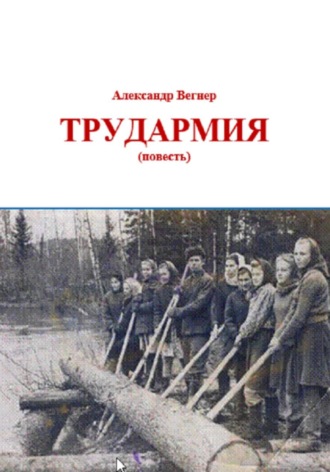 Обложка книги «Трудармия»