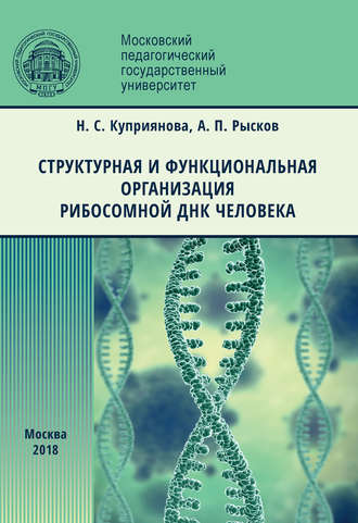 Обложка книги «Структурная и функциональная организация рибосомной ДНК человека»
