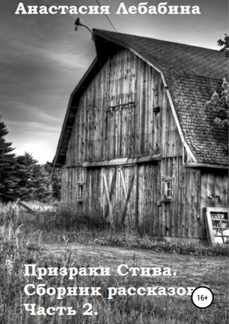 Обложка книги «Призраки Стива. Сборник рассказов. Часть 2»