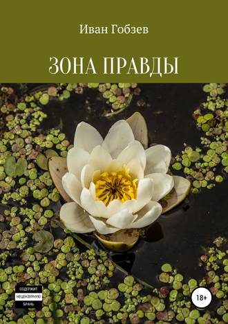 Иван Александрович Гобзев. Зона Правды