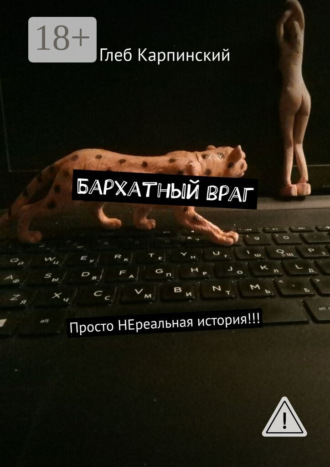 Обложка книги «Бархатный враг. Просто НЕреальная история!!!»