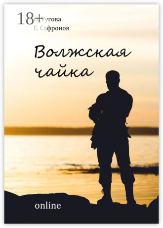Обложка книги «Волжская чайка online»