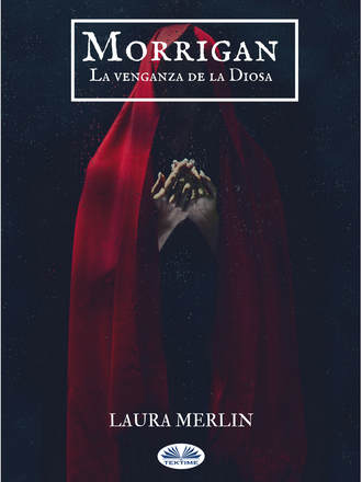 Обложка книги «Morrigan»