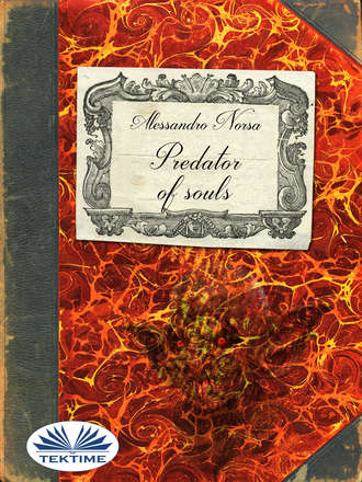 Обложка книги «Predator Of Souls»