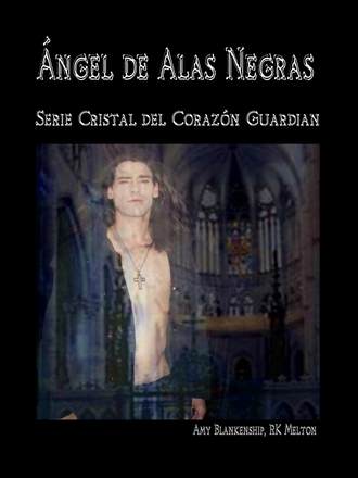 Обложка книги «Ángel De Alas Negras»